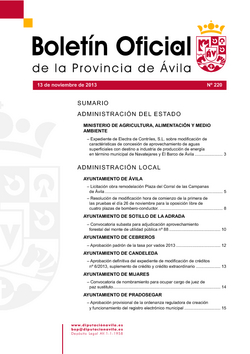Boletín Oficial de la Provincia del miércoles, 13 de noviembre de 2013