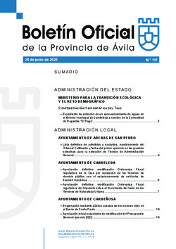 Boletín Oficial de la Provincia del lunes, 20 de junio de 2022