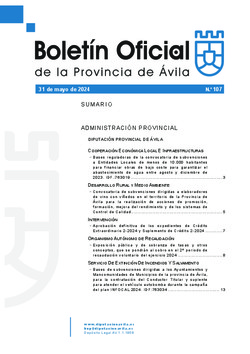Boletín Oficial de la Provincia del viernes, 31 de mayo de 2024