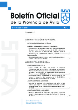 Boletín Oficial de la Provincia del lunes, 3 de marzo de 2025