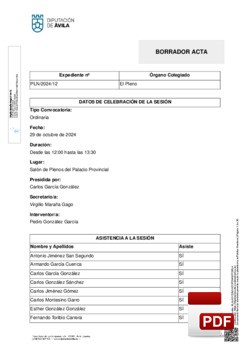 Pleno 12/2024 del martes, 29 de octubre de 2024