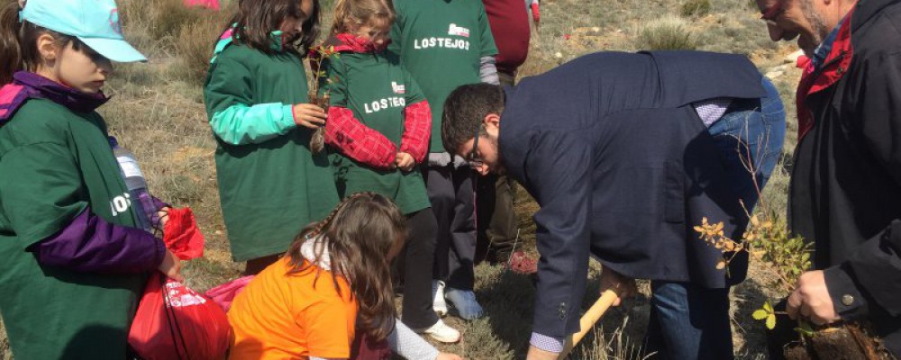 LA DIPUTACIÓN DE ÁVILA CELEBRA EL DÍA DEL ÁRBOL CON LA PLANTACIÓN DE 1.700 ENCINAS Y ROBLES