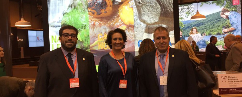 LA DIPUTACIÓN DE ÁVILA PROMOCIONA EN FITUR SU OFERTA TURÍSTICA PARA 2016, CENTRADA EN LA NATURALEZA, LA CULTURA Y LA GASTRONOMÍA