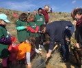 Foto de LA DIPUTACIÓN DE ÁVILA CELEBRA EL DÍA DEL ÁRBOL CON LA PLANTACIÓN DE 1.700 ENCINAS Y ROBLES