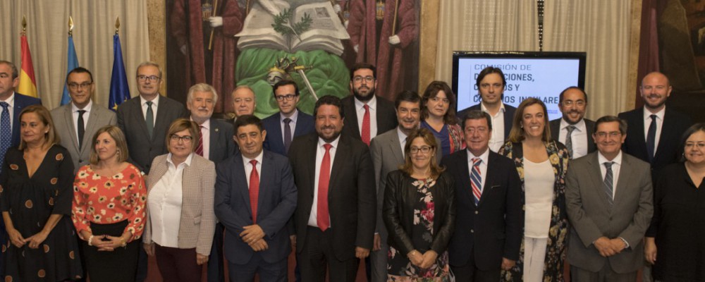El presidente de la Diputación de Ávila participa en la reunión de la Comisión de Diputaciones Provinciales de la FEMP