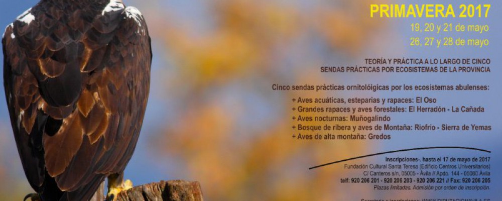 La Diputación Provincial convoca la tercera edición del curso "Conoce las Aves de Ávila"