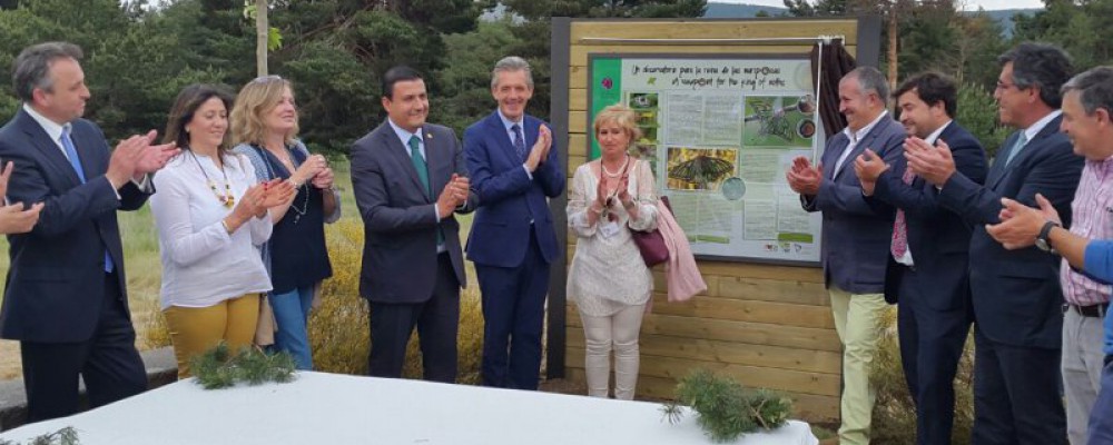 Peguerinos ya cuenta con un Observatorio para la mariposa isabelina, descubierta en su término municipal