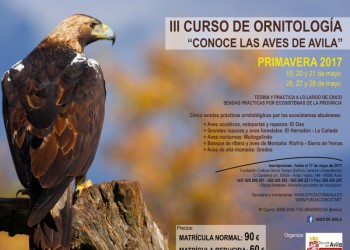 El curso "Conoce las Aves de Ávila" incluirá visitas a los "hides" de la provincia y una ruta nocturna de observación (2º Fotografía)