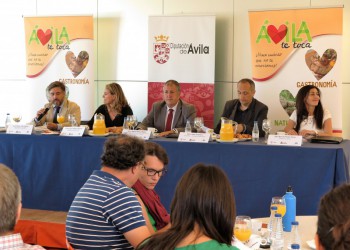 La Diputación de Ávila finaliza las mesas de trabajo territoriales para diseñar la Estrategia de Desarrollo Provincial (2º Fotografía)
