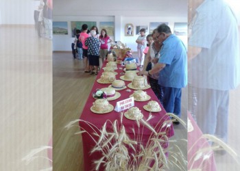La Diputación de Ávila apoya la recuperación de tradiciones en la IX Jornada de Turismo de las gorras típicas de Solana de Rioalmar (4º Fotografía)