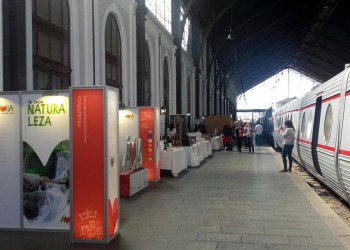 La Diputación de Ávila lleva la oferta turística de la provincia a la Feria de Enoturismo de Madrid (2º Fotografía)