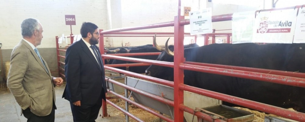 Los productos agroalimentarios de la provincia y el sector ganadero acuden a Salamaq de la mano de la Diputación