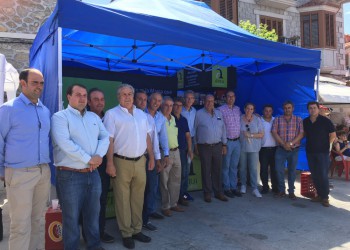La Diputación de Ávila muestra su apoyo a la II Fiesta de la Mancomunidad Alberche por unir a los vecinos de la comarca y sus tradiciones (2º Fotografía)