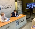 Foto de Escenarios de salida y ayudas al turismo, en la reunión telemática entre la Diputación y CONFAE