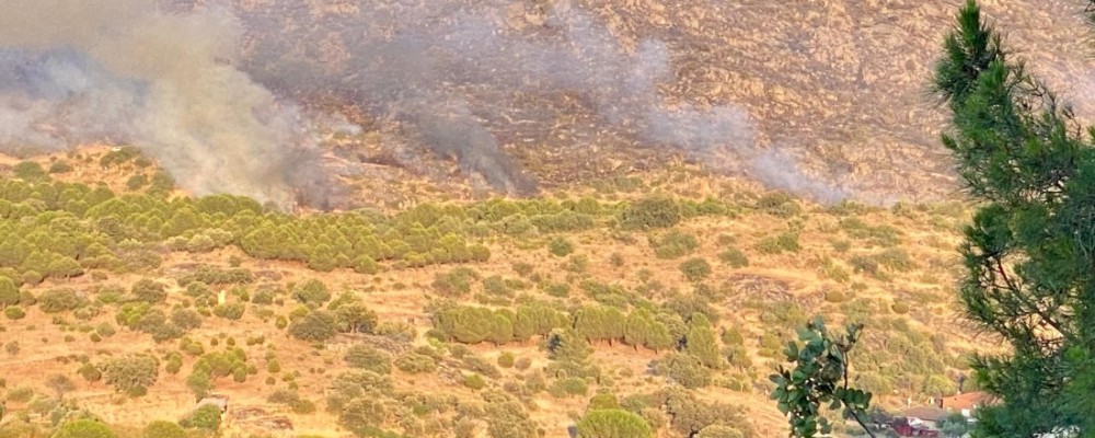 Dos cursos de la Diputación preparan a efectivos de emergencias contra los incendios en el alfoz urbano forestal
