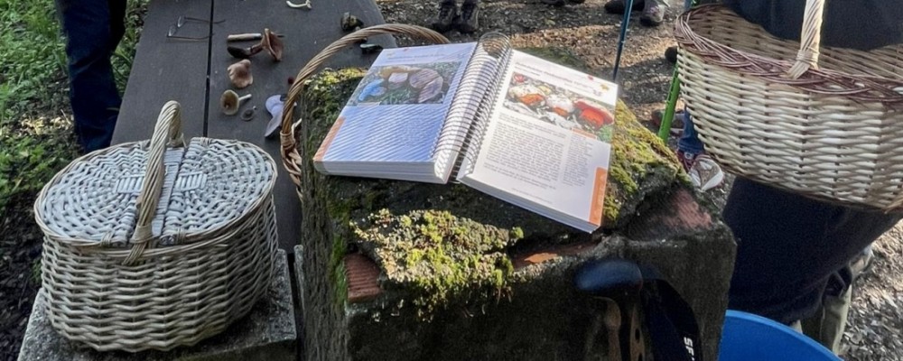 El curso ‘Conoce los hongos de Ávila’ celebra sus primeros 25 años de trayectoria