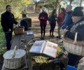 Foto de El curso ‘Conoce los hongos de Ávila’ celebra sus primeros 25 años de trayectoria