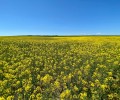 El GestEAUr despliega un proyecto piloto en La Moraña para mejorar el tratamiento del agua mediante Soluciones Basadas en la Naturaleza