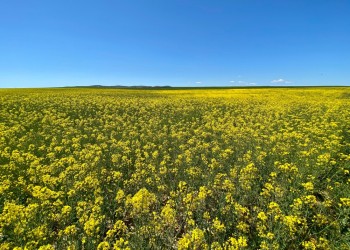 El GestEAUr despliega un proyecto piloto en La Moraña para mejorar el tratamiento del agua mediante Soluciones Basadas en la Naturaleza