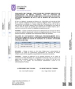 calificaciones-provisionales_tecnico-agente-de-igualdad.pdf