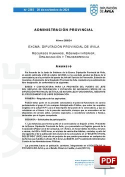 Jefe del Servicio de Prevención y Extición de Incendios (SPEIS)