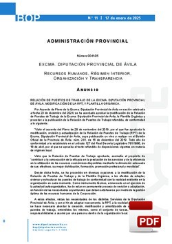 Modificación de la RPT (Relación de Puestos de Trabajo) de la Diputación de Ávila. Sesion 23 de diciembre 2024